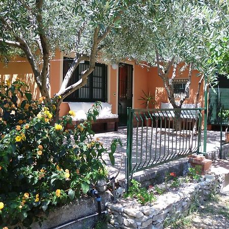 Il Vigneto "Cottage" Gaggi Zimmer foto