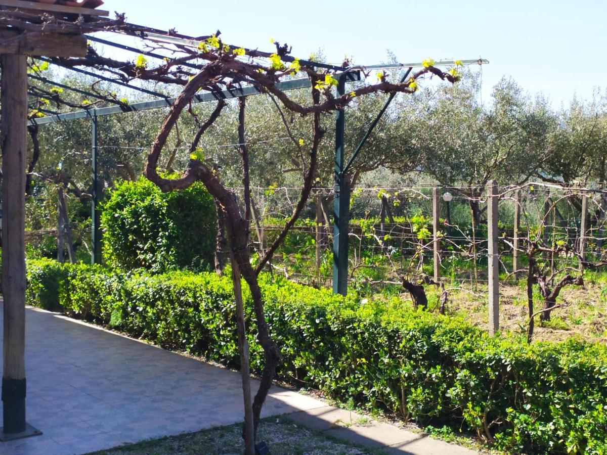 Il Vigneto "Cottage" Gaggi Exterior foto